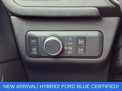 2020 Ford Escape Hybrid SE Sport