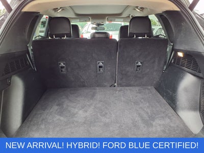 2020 Ford Escape Hybrid SE Sport
