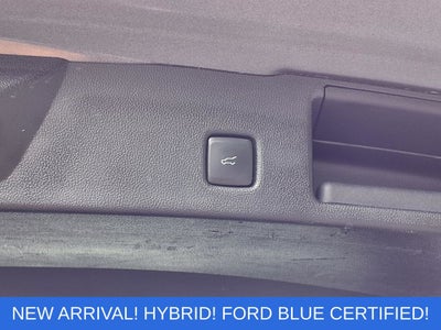 2020 Ford Escape Hybrid SE Sport