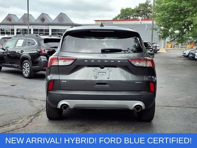 2020 Ford Escape Hybrid SE Sport