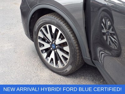 2020 Ford Escape Hybrid SE Sport
