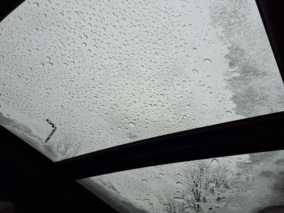 2024 Ford Expedition Max Platinum